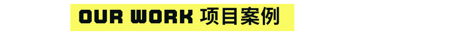 Our work 项目案例